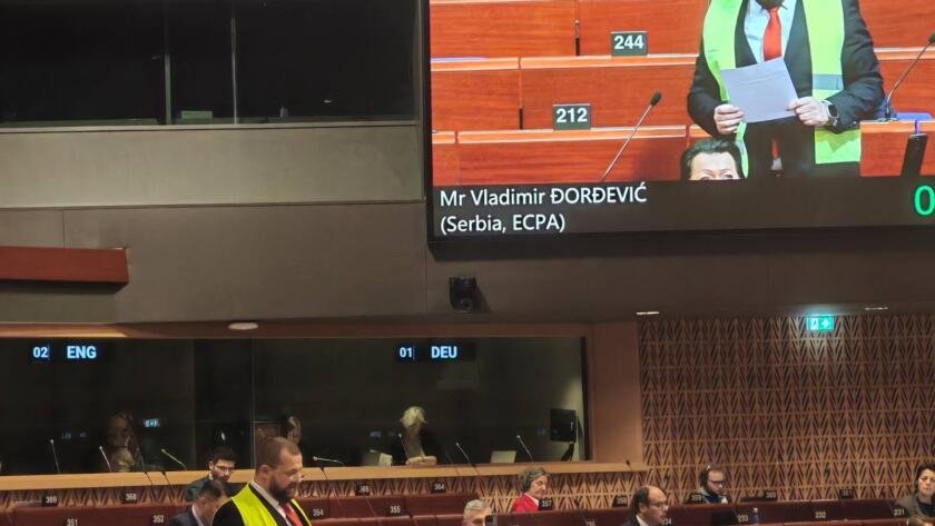 владимир ђорђевић савет европе